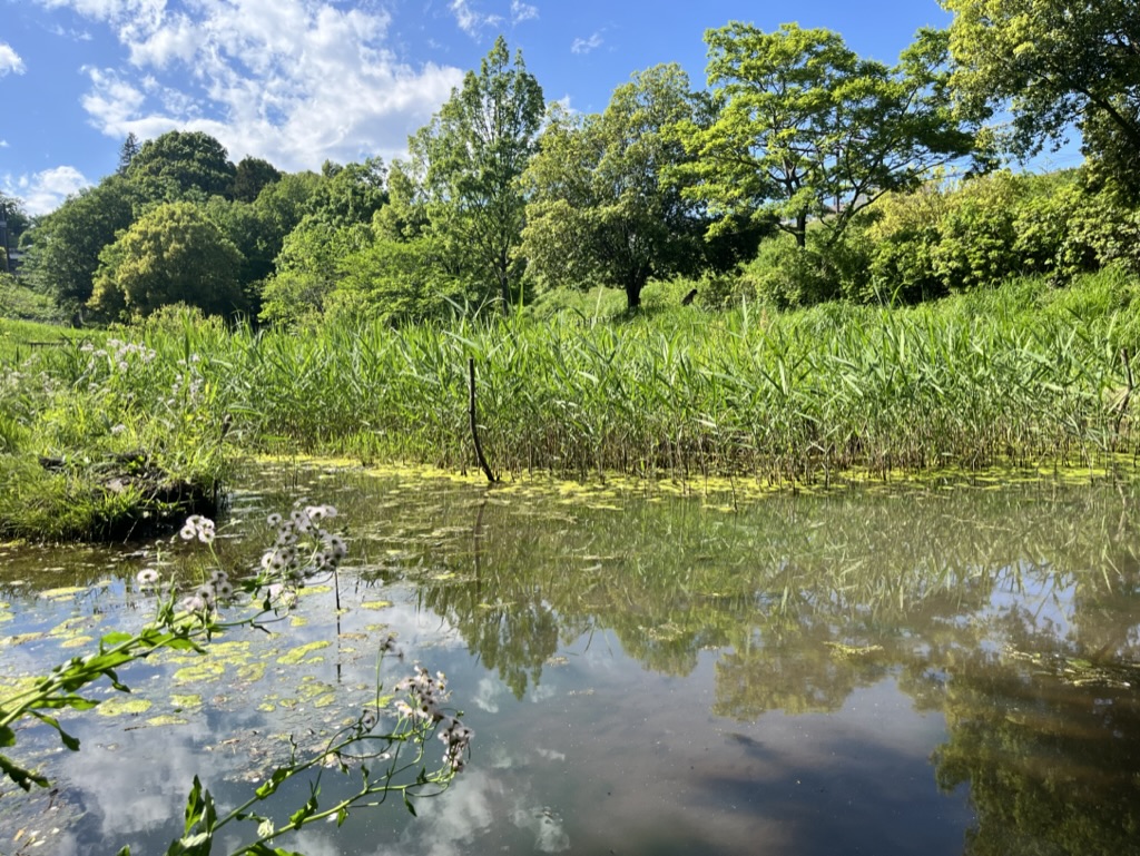 自然を大切にした黒川谷ツ公園