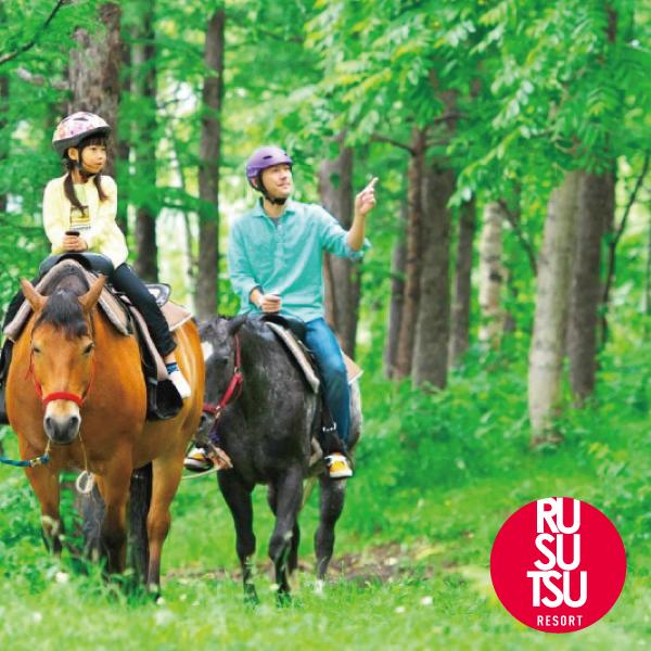 乗馬　スタンダードコース
