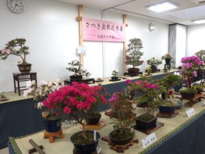 さつき花季展