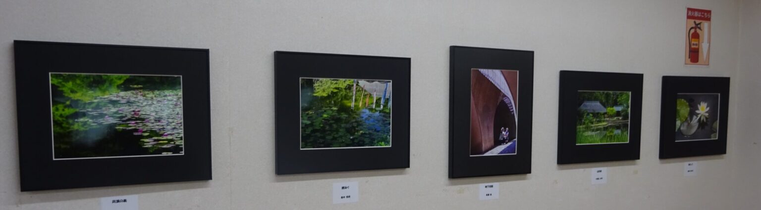 サロン作品展 つづき写遊会作品展