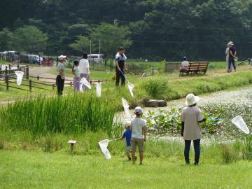 夏のトンボ調査にチャレンジ！