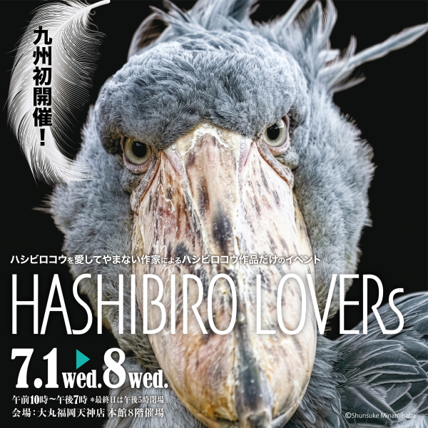 HASHIBIRO LOVERs