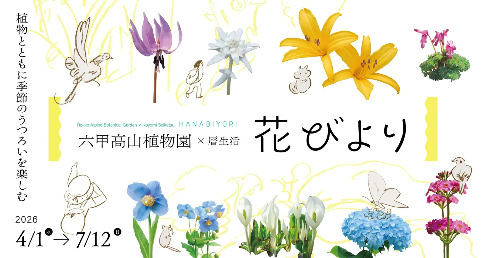 六甲高山植物園×暦生活 花びより