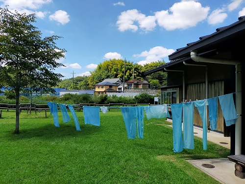 藍の生葉でスカーフを染める