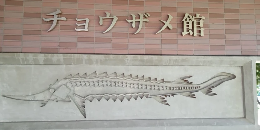 チョウザメ館