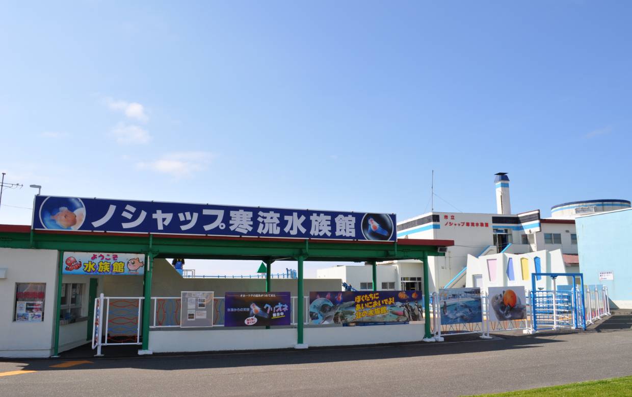ノシャップ寒流水族館
