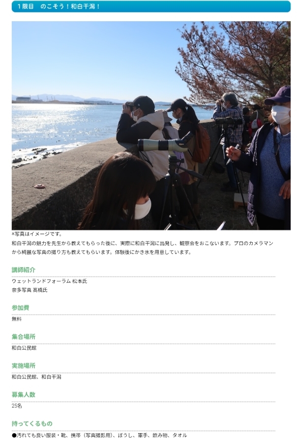 和白,干潟