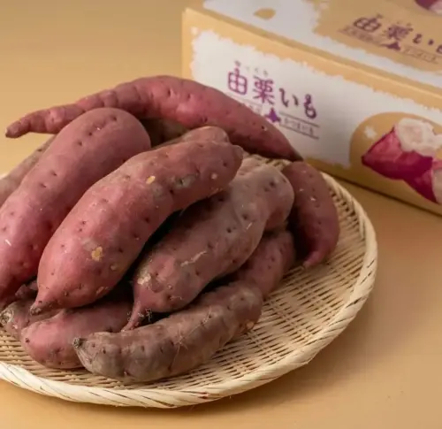 秋の羊ヶ丘展望台から”ふるまいも”