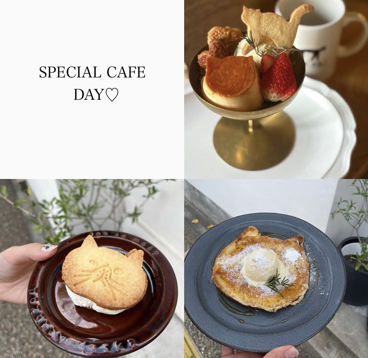 ネコペコリスイーツ