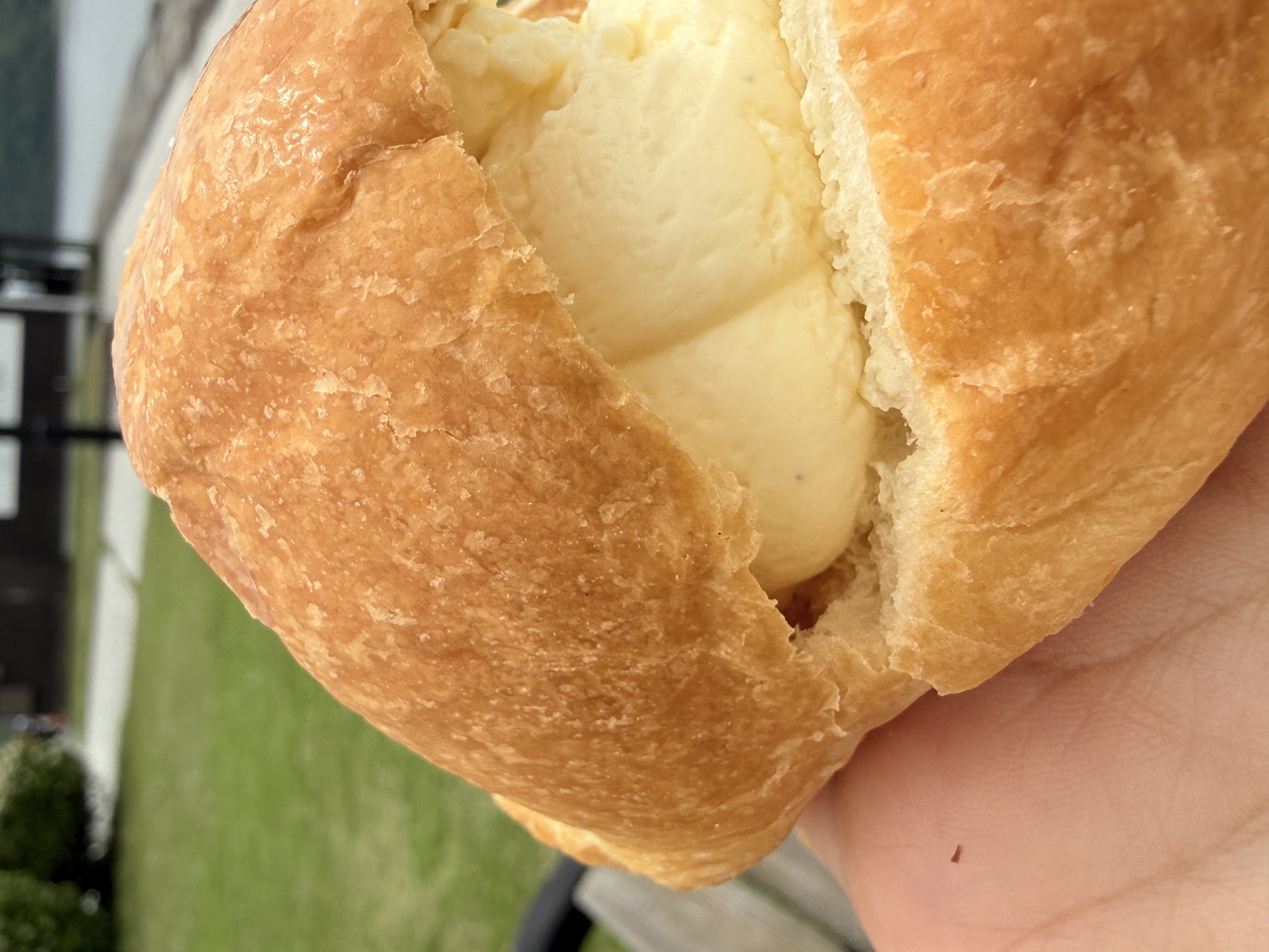 一日2000個売れる！まちパンLab宇土店の幻のクリームパン | ツキヌケ