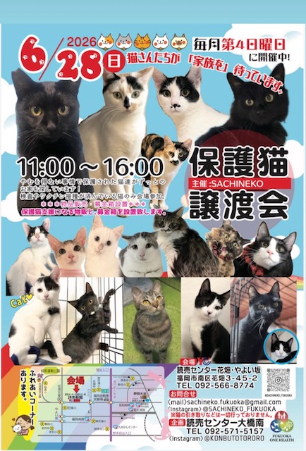 さち猫福岡譲渡会　6/28