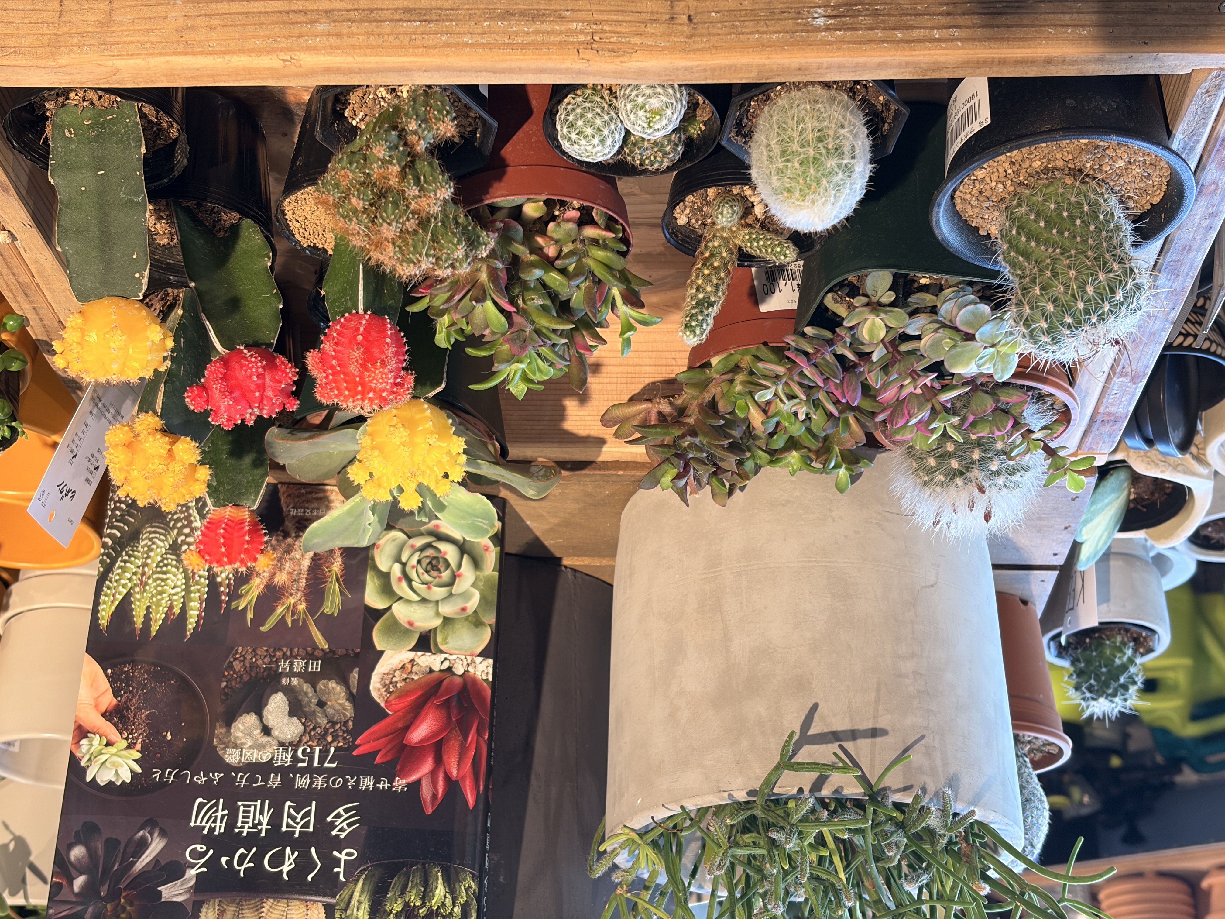 センスの宝庫！神戸BALのToday's Special