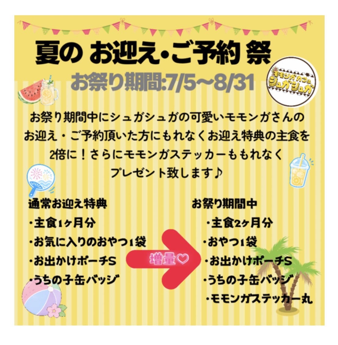 夏のお迎え・ご予約祭り（モモンガカフェ)