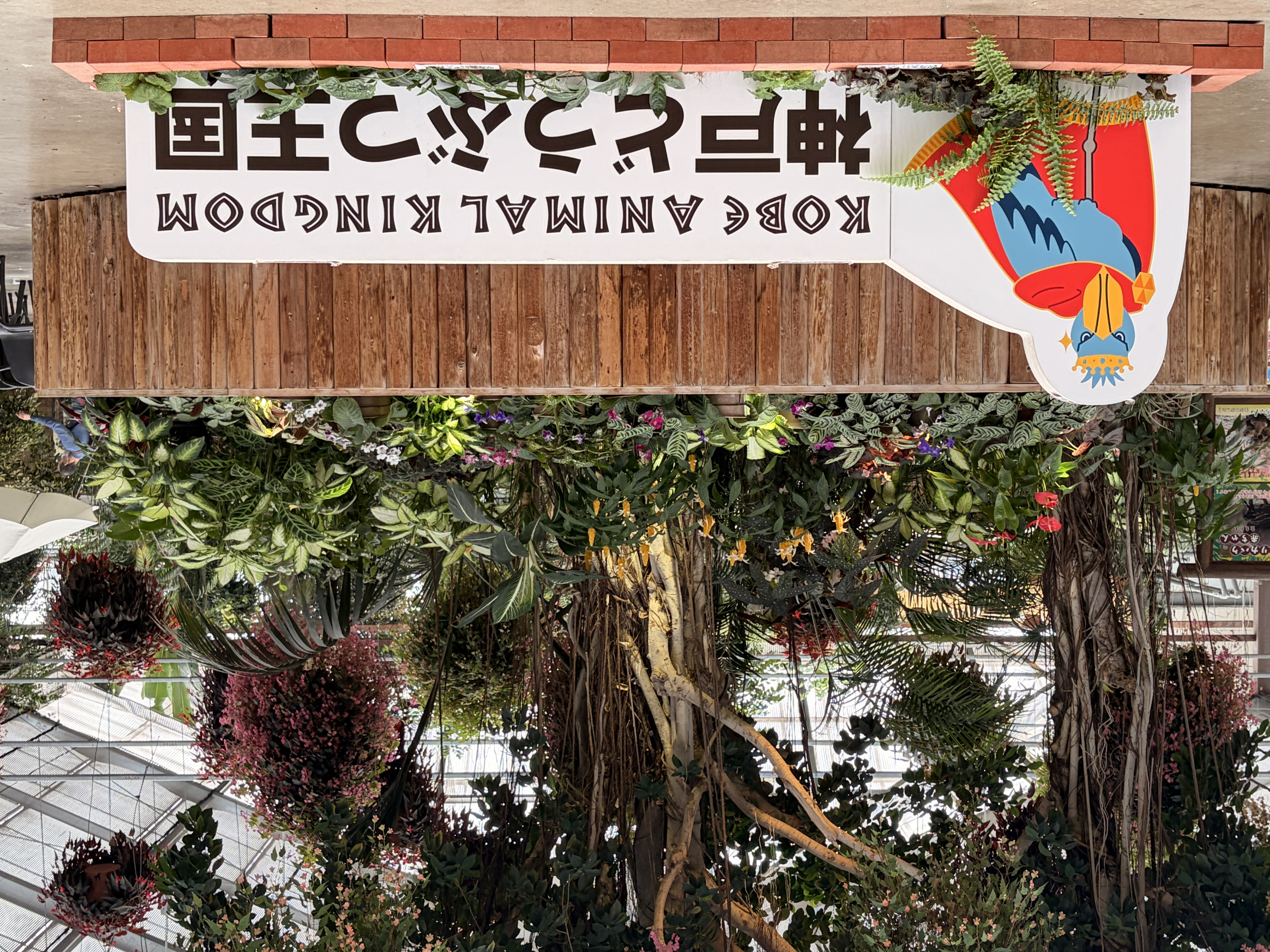 夏休みにぜひ！神戸どうぶつ王国完全ガイドと感動フライト