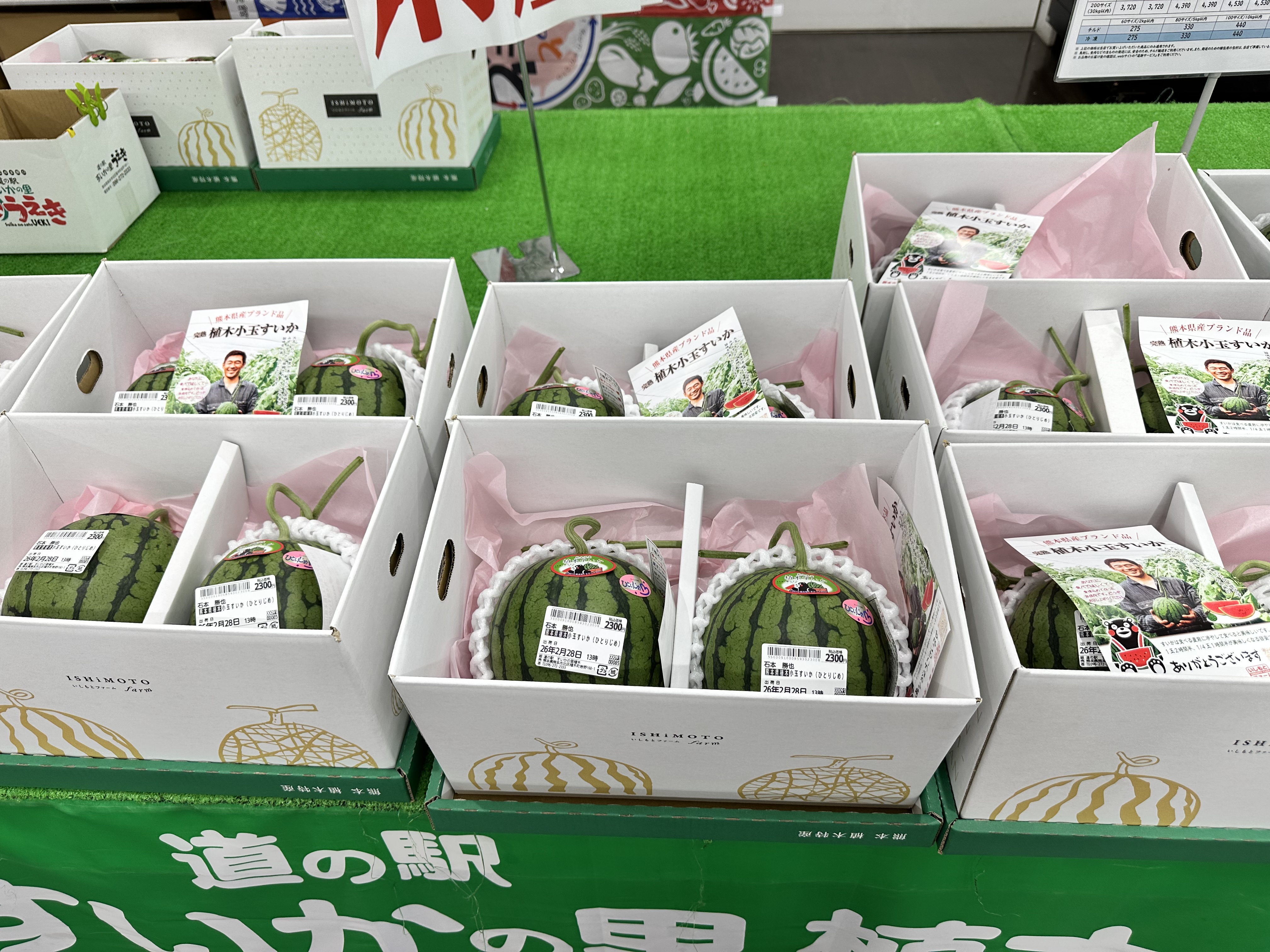 植木スイカ