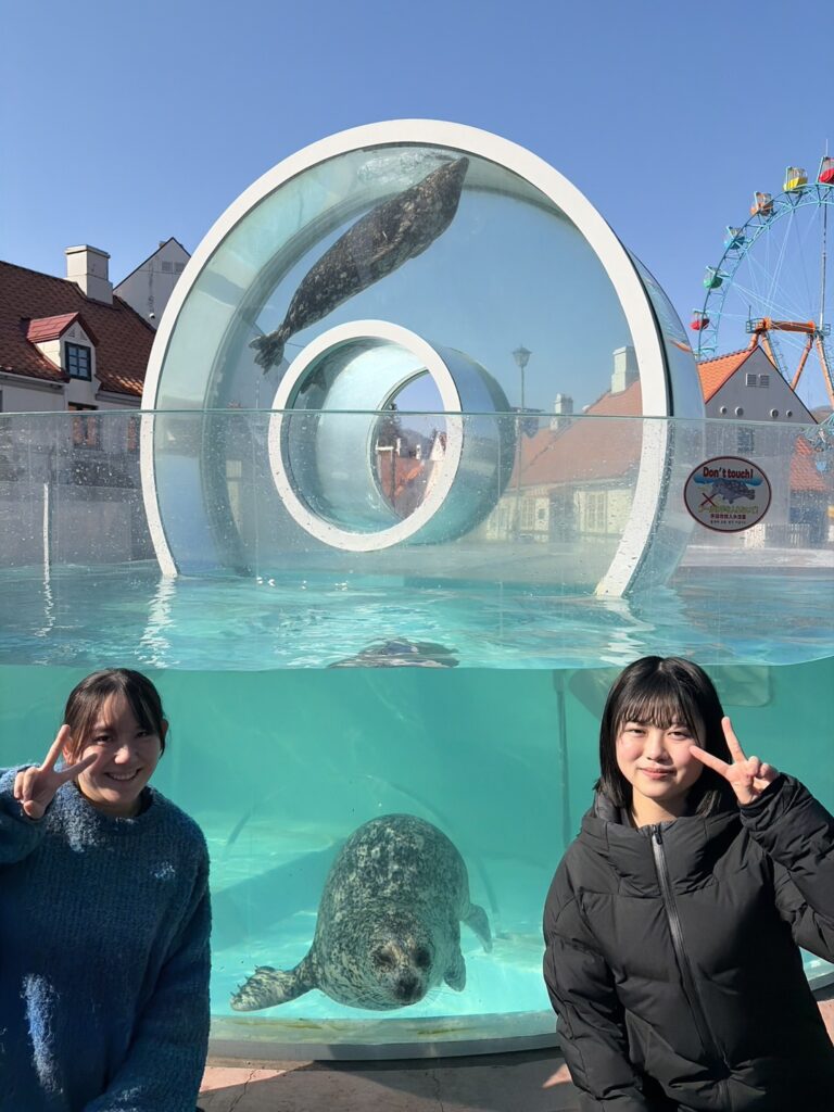 アザラシと一緒に記念写真！（先着10組）