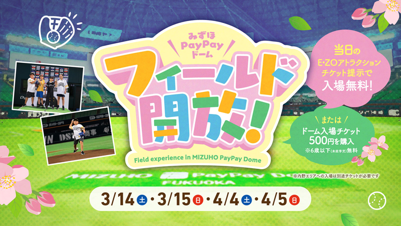 フィールド開放