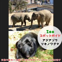 動物園