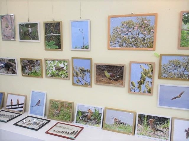 野鳥写真展