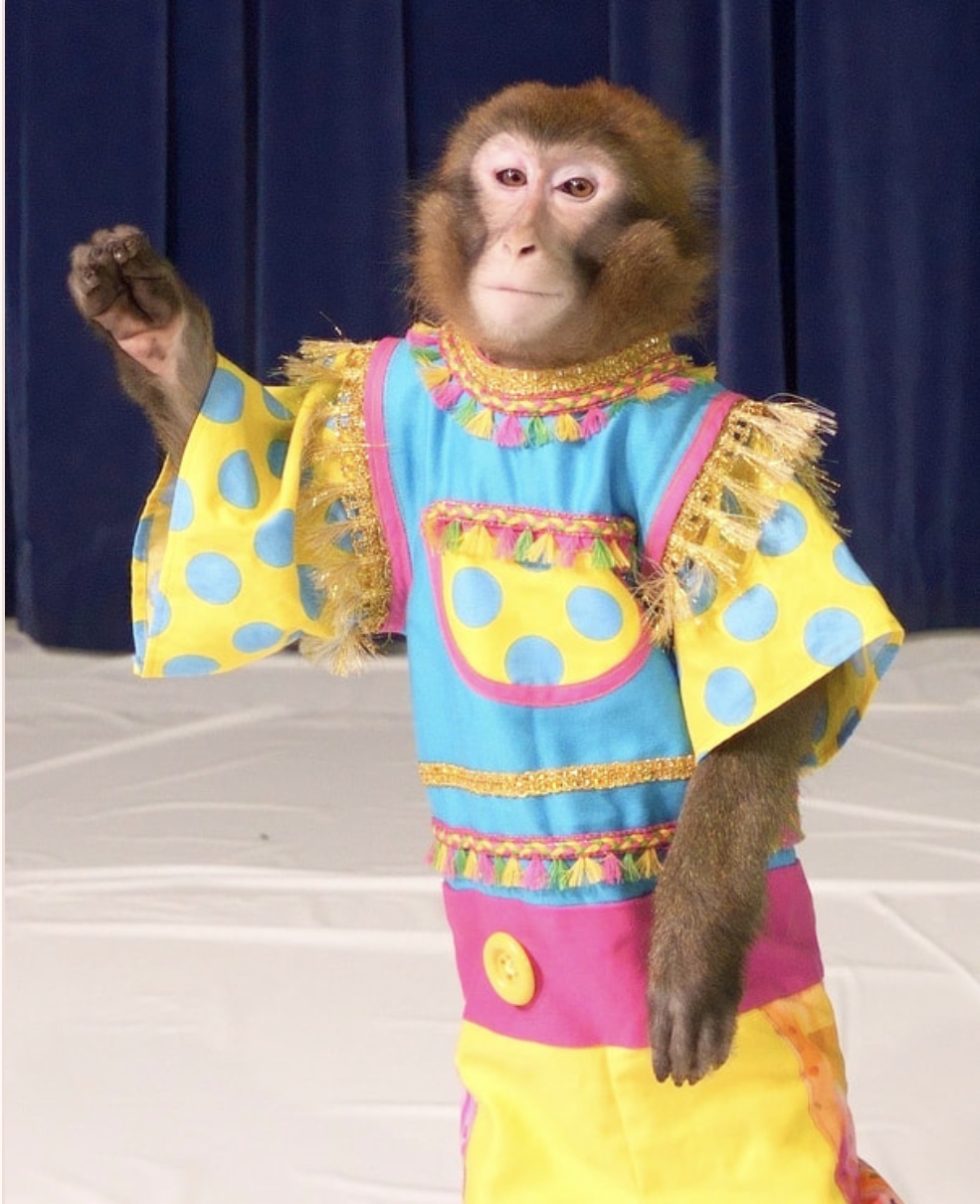 ルートくん生誕祭