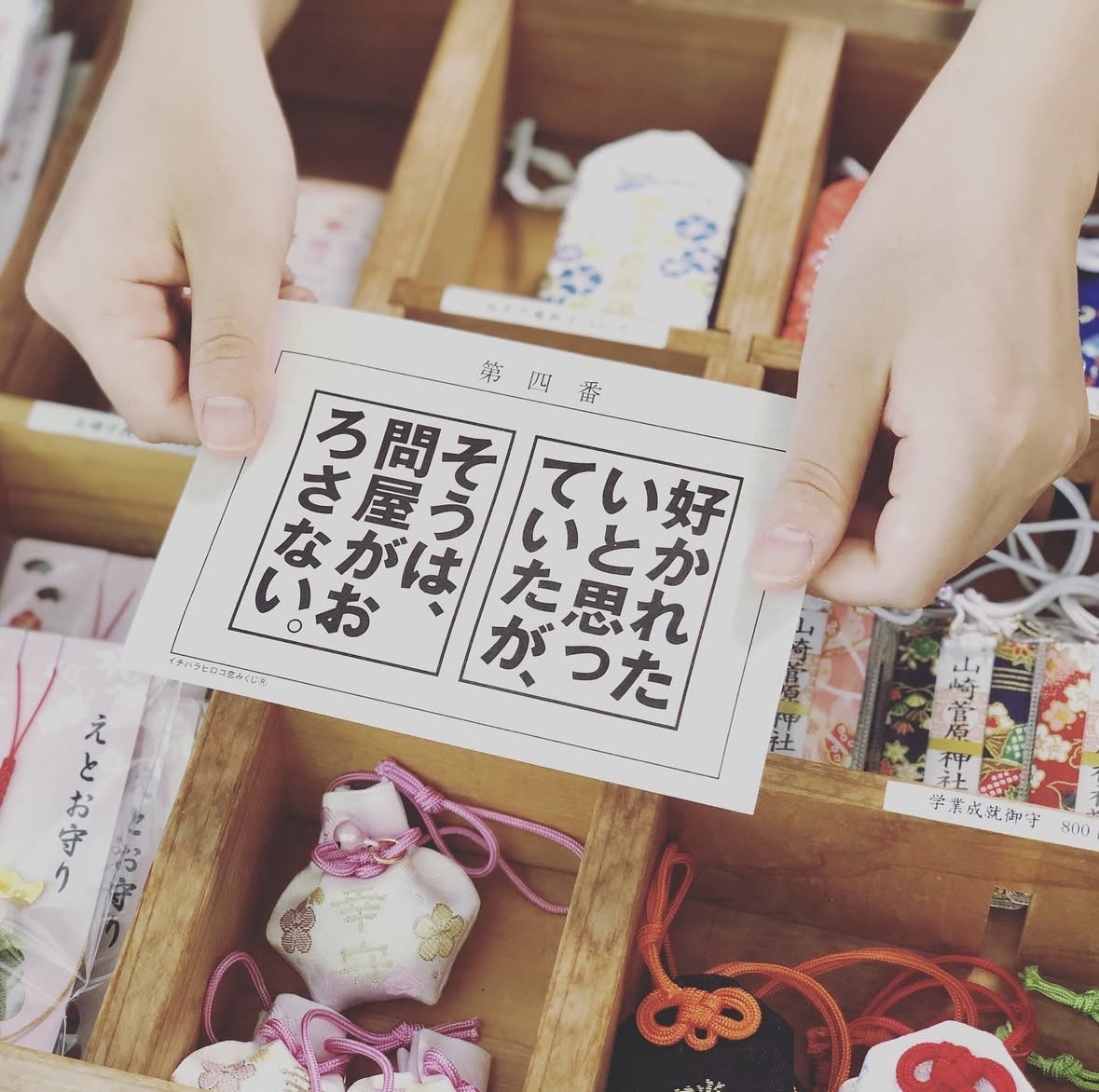 おみくじ写真