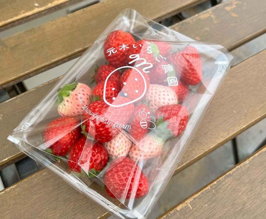 元木農園でのお土産はもちろん いちご!