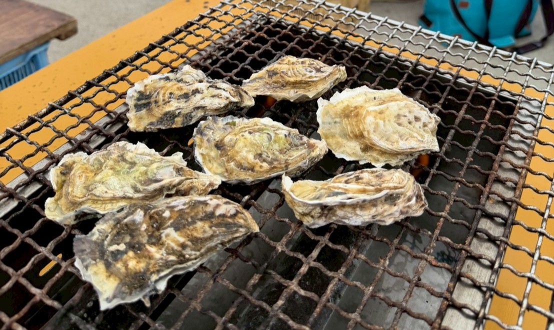 糸島カキ小屋