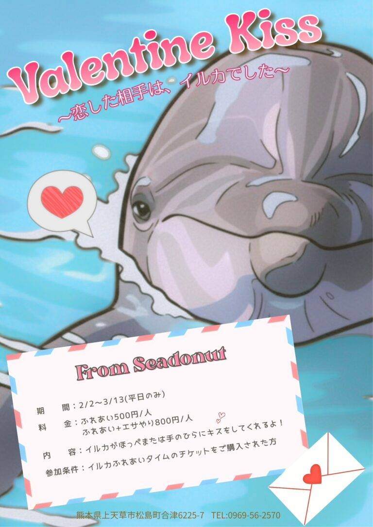 イルカ
