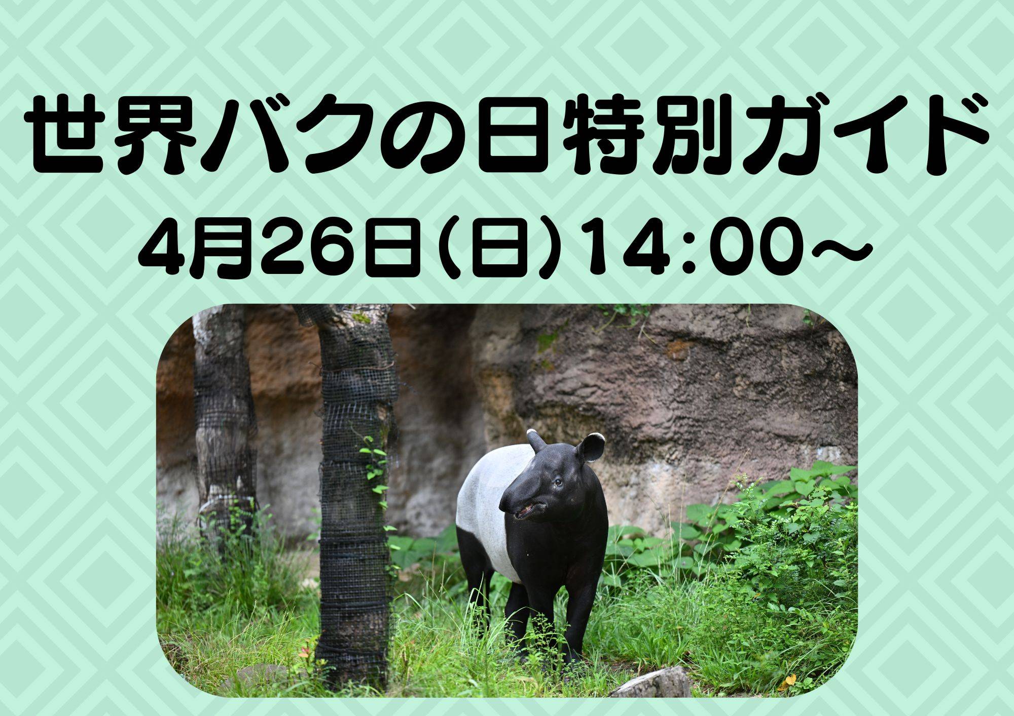 世界バクの日特別ガイド