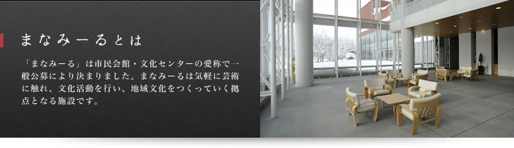 ザ クラシックコンサート岩見沢2026