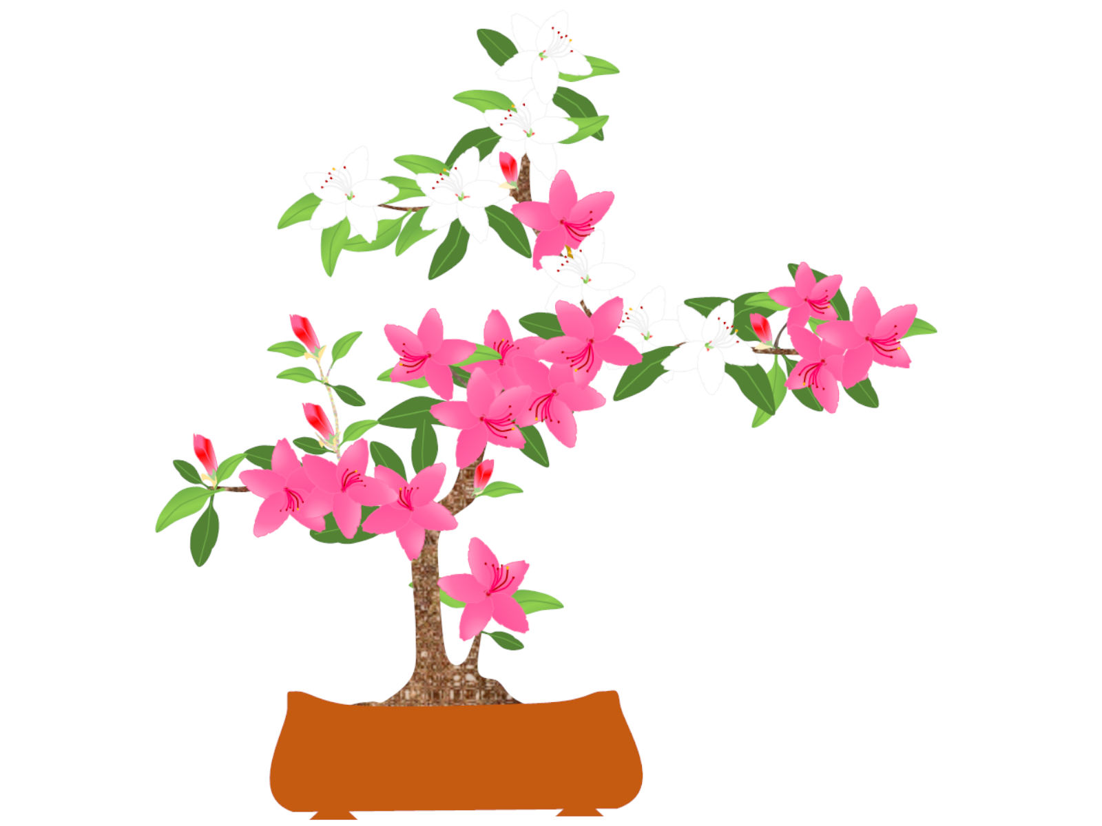 さつき花後の選定・整形講習会