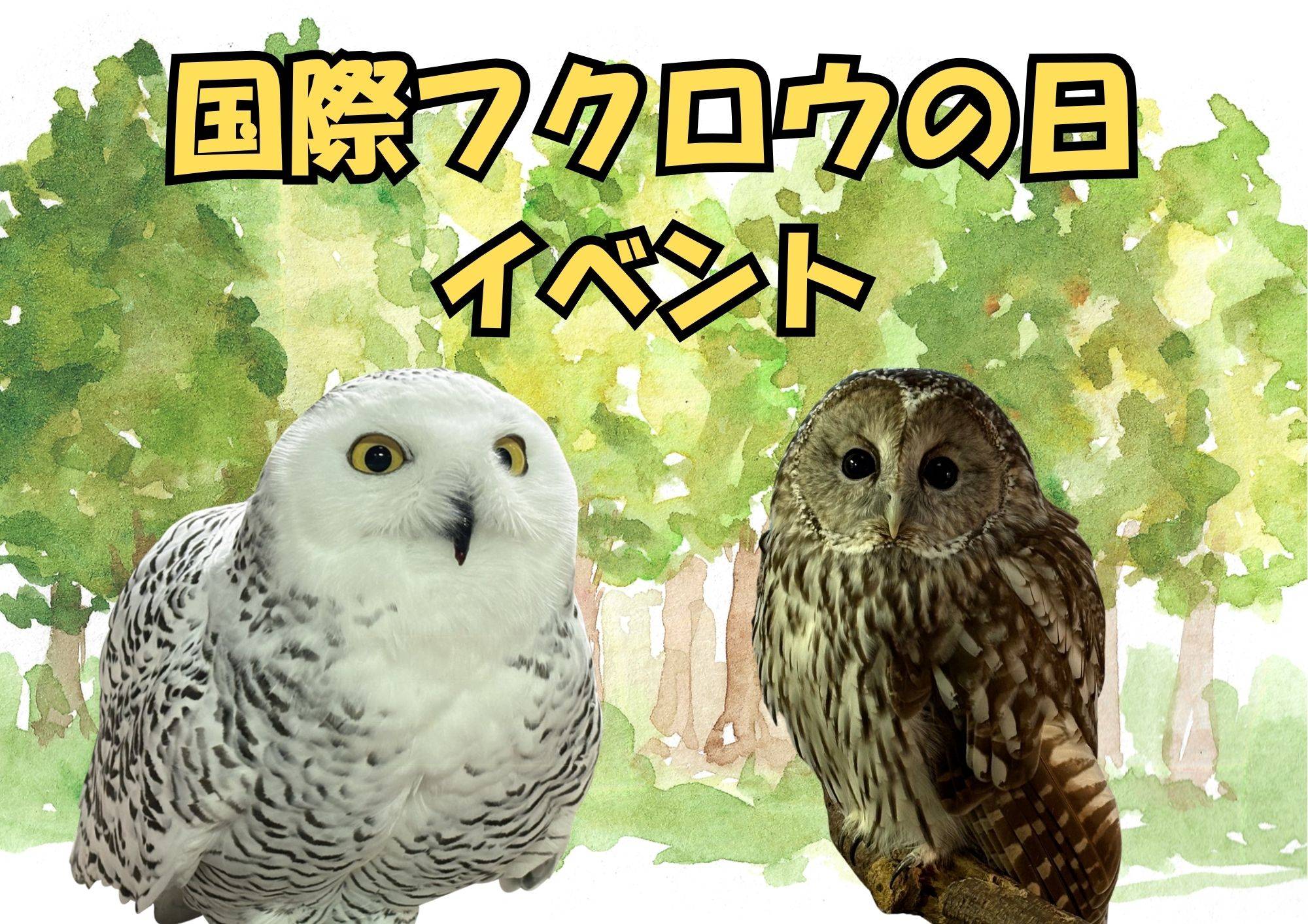 国際フクロウの日イベント