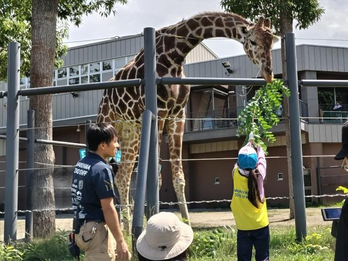 子どもの1日飼育係
