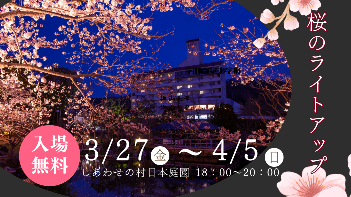 しあわせの村日本庭園　桜のライトアップ