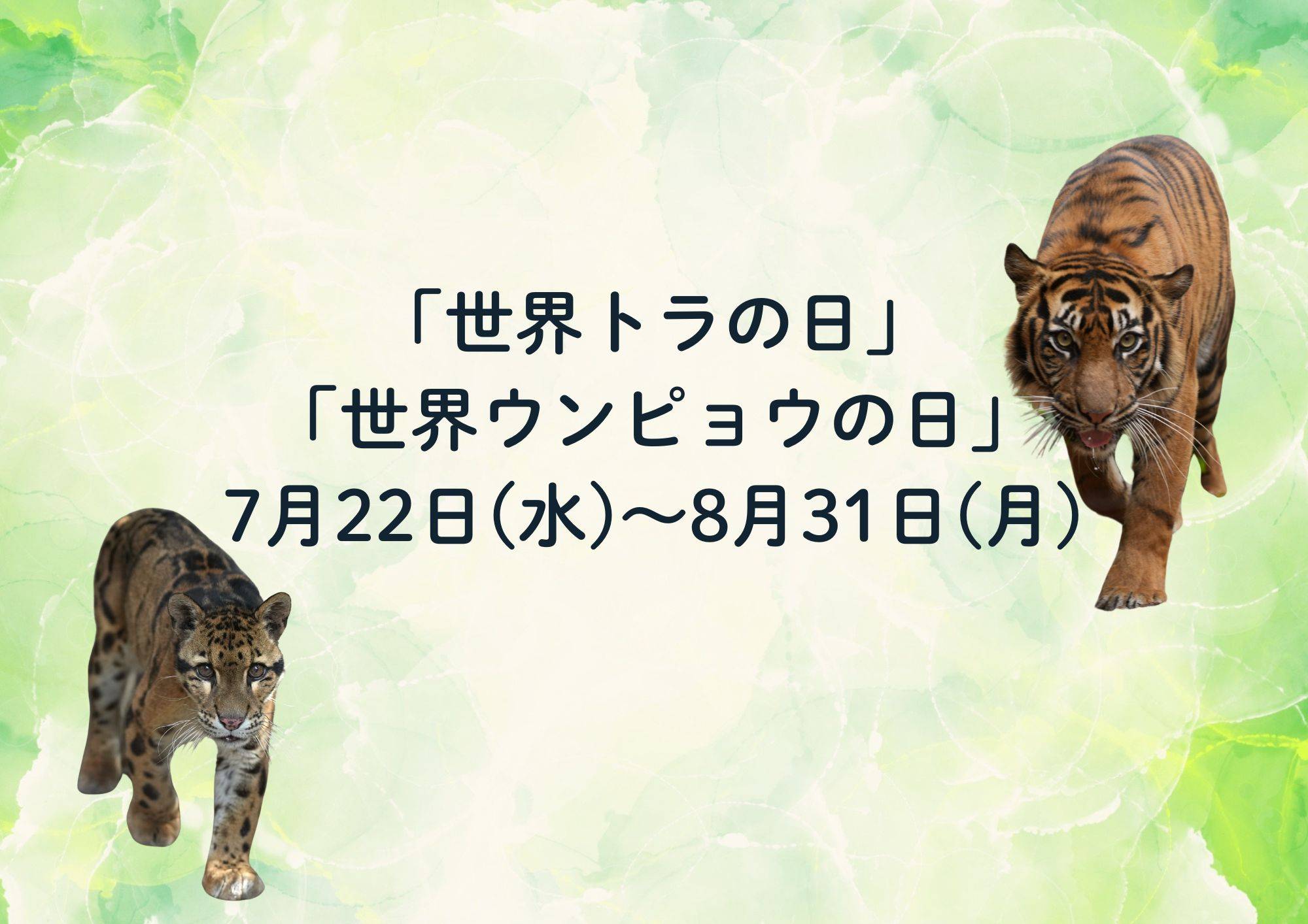 世界トラ　ウンピョウ合同イベント