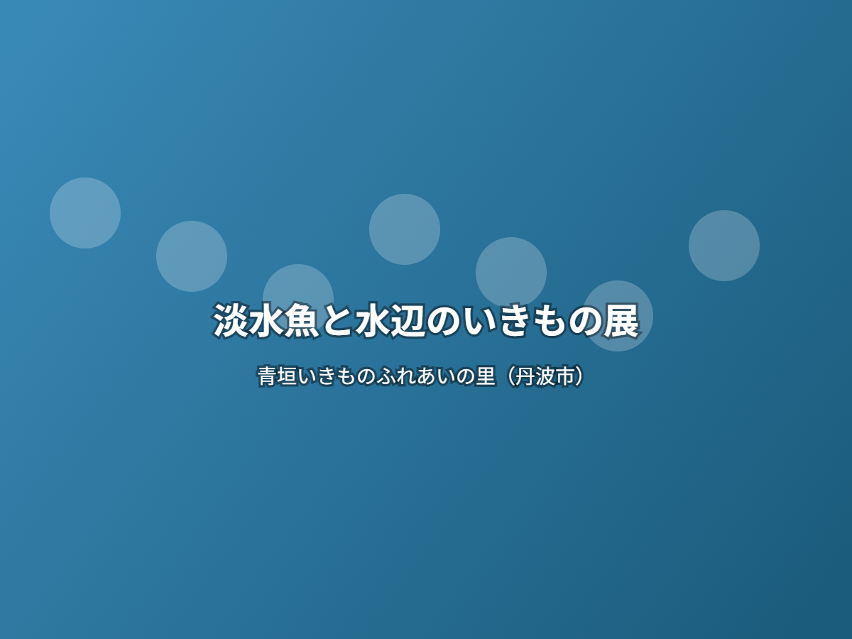 淡水魚と水辺のいきもの展