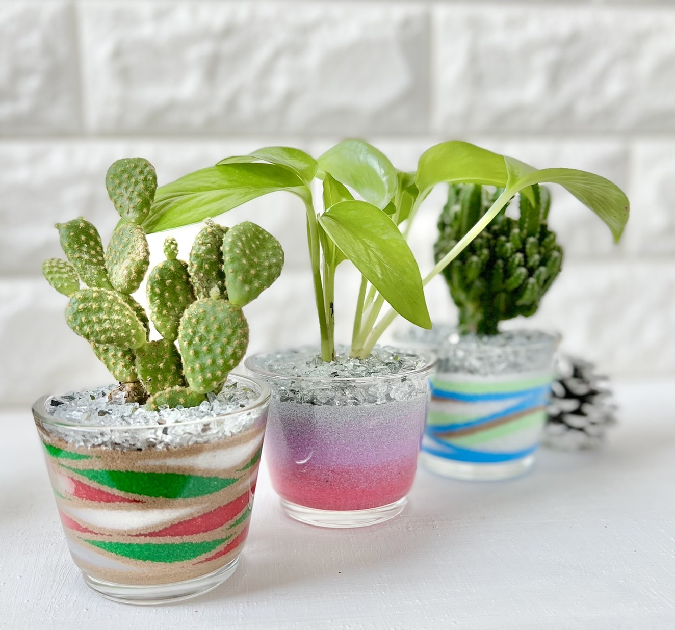 カラーサンドアート 観葉植物