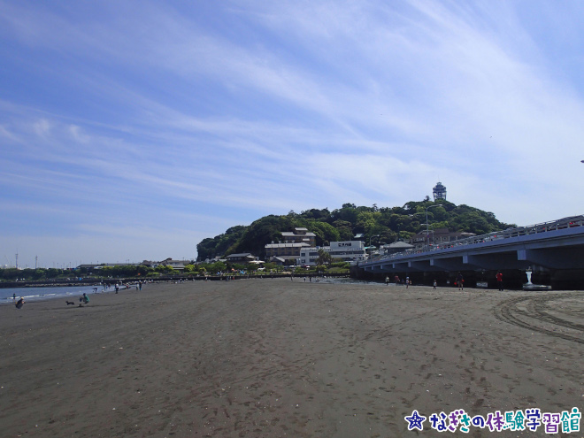 新江ノ島水族館「体験学習プログラム」トンボロを歩こう！