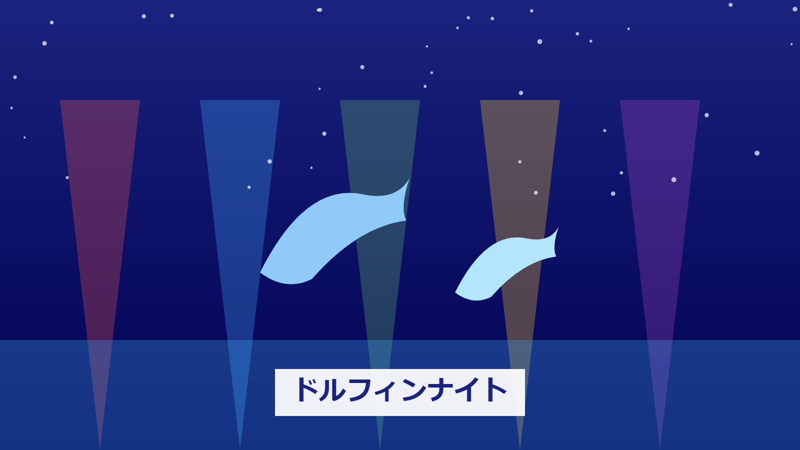 ドルフィンナイトパフォーマンス