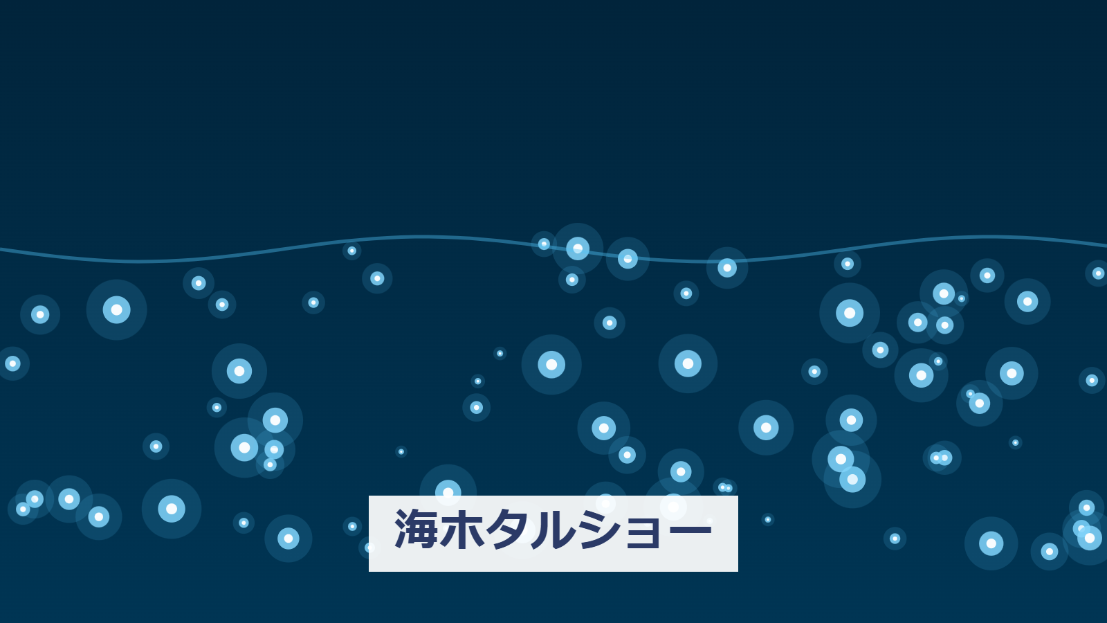 世界初！世界でここだけ！の海ホタルショー
