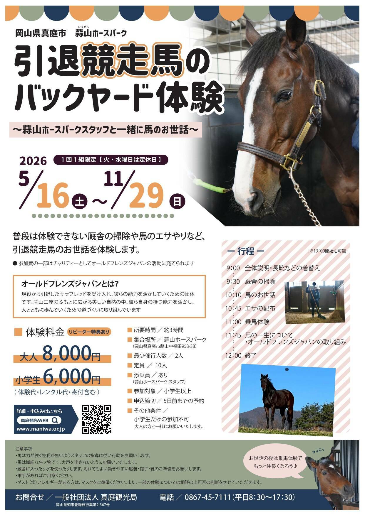 引退競走馬のバックヤード体験　～蒜山ホースパークスタッフと一緒に馬のお世話～