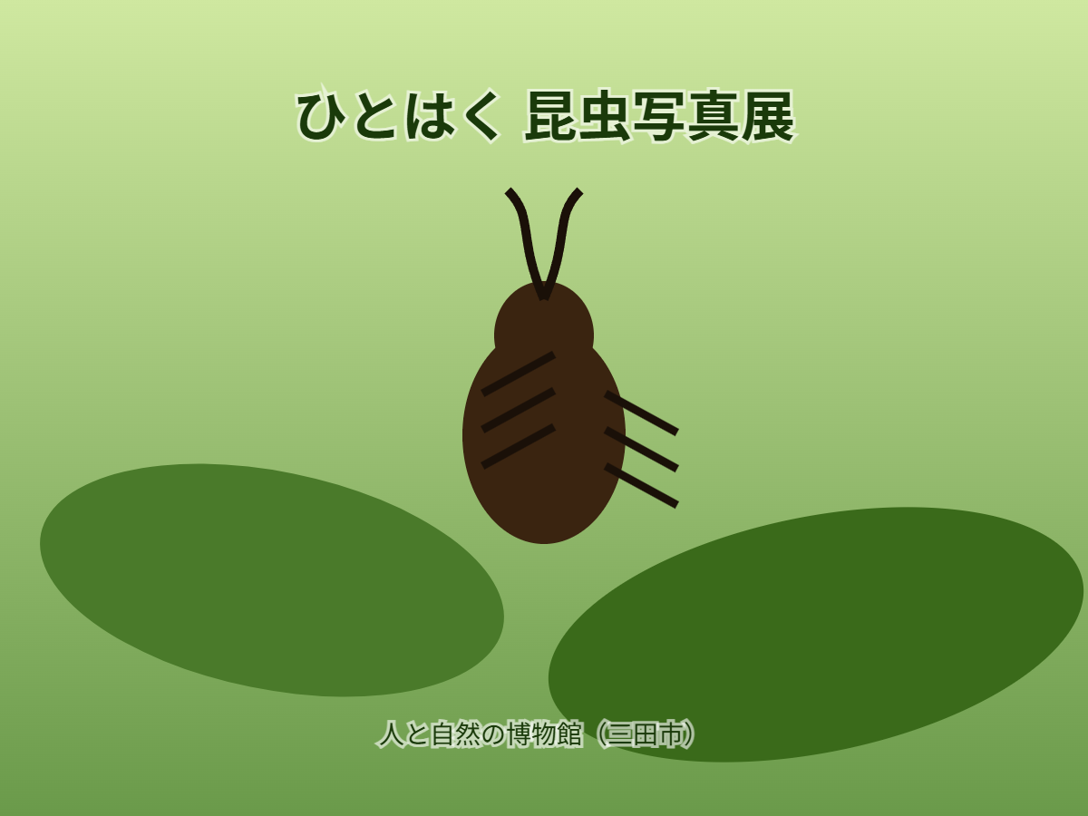 ひとはく昆虫写真展（イメージ）