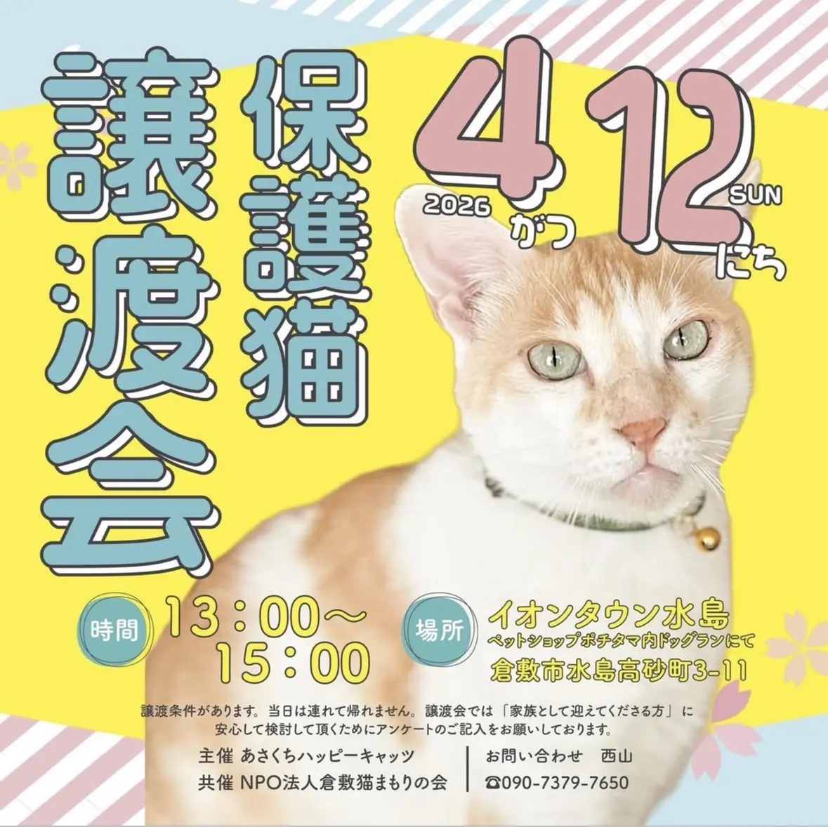 保護猫譲渡会(イオンタウン水島)