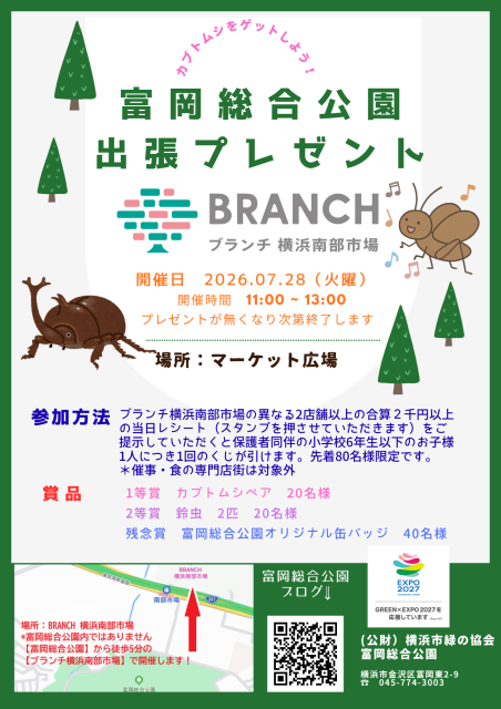 カブトムシをゲットしよう