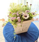 初夏の寄せ植え講座