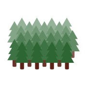 間伐材のマグネット/キーホルダー/簡易ストラップ作り
