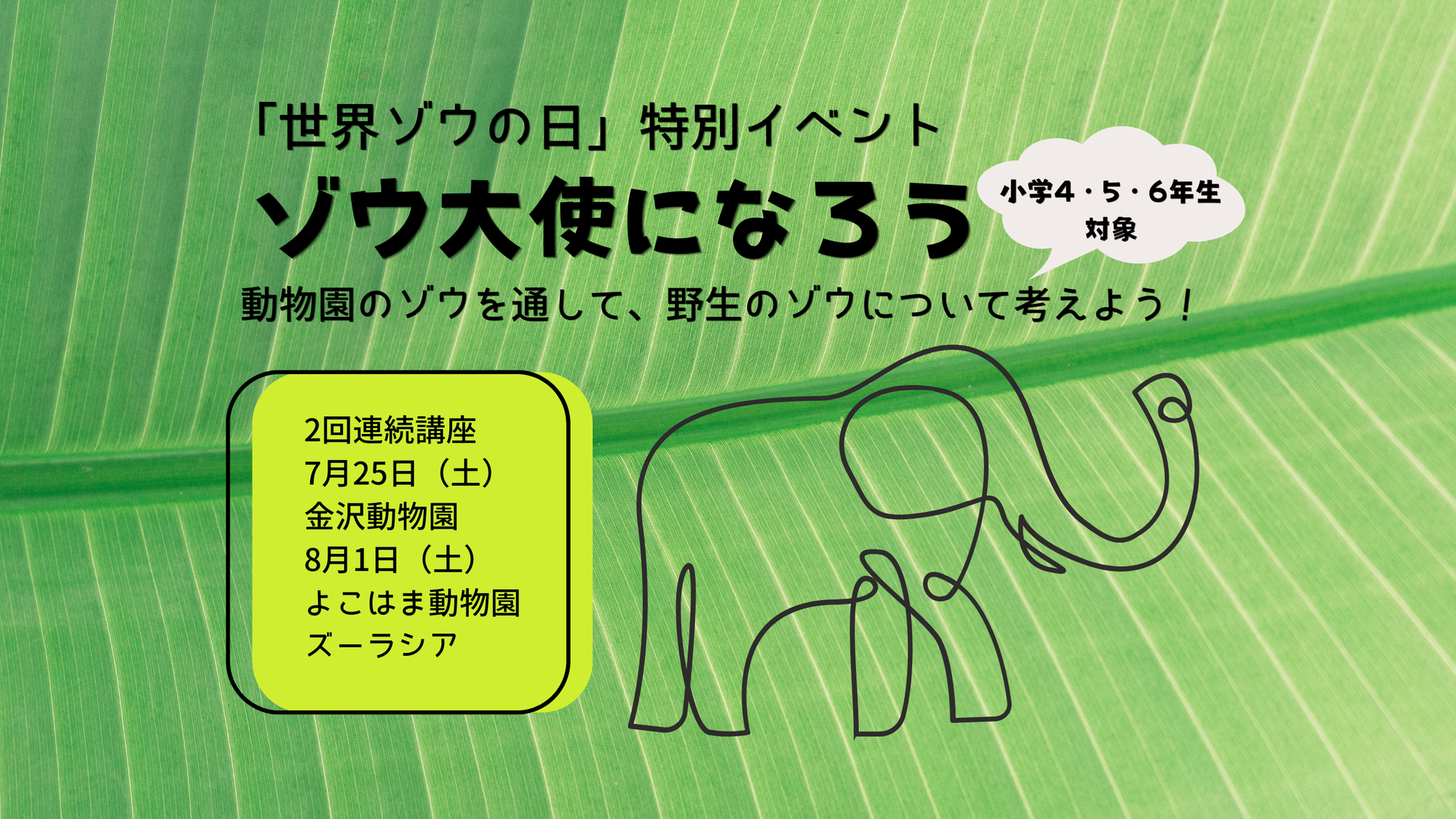 世界ゾウの日特別イベント「ゾウ大使になろう」