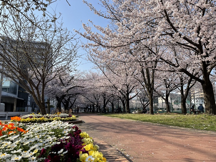 公園0