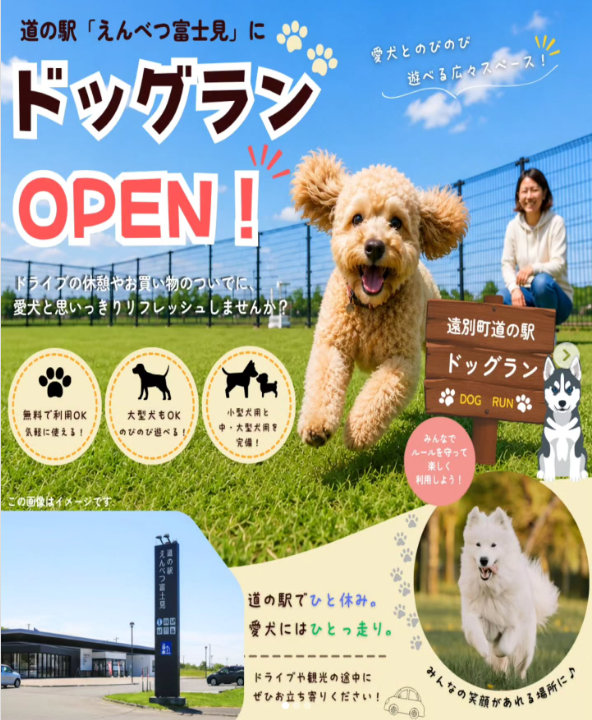 ドッグラン