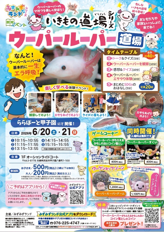 【いきもの道場シリーズ】ウーパールーパー道場開催！